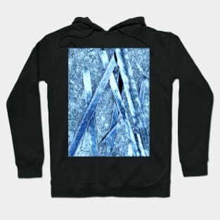 Blue Poles Hoodie